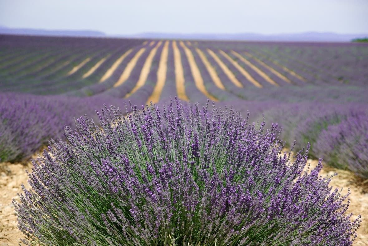 Manuál na cesty - Provence